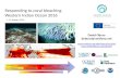 Coral bleaching response guide 2016 (Western Indian Ocean)