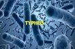 Typhus , yellow , dengue ..also deals with causative agents insects,public health diseases and their symptoms