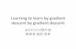 Learning to learn by gradient descent by gradient descent