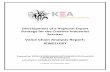 Reg Export Strategy for CARIFORUM Creative Industries - Jewellery VCA Report