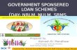 Government sponsered loan schemes
