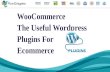 Woocommerce Useful Wordpress Plugins For Ecommerce