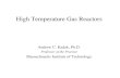 Safety Issues for High Temperature Gas Reactors