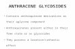 Anthracene glycosides lecture-2012-2013(1)