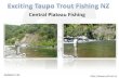 Exciting taupo trout fishing nz