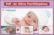 Ivf in vitro fertilization  - Southend IVF