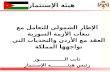 Holistic Approach for Syrian Refugees Crisis (Jordan Compact) and the Main Challenges facing the Kingdom (Arabic version)