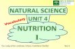 Vocabulary - nutrition (digestion and respiration)