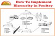 How To Implement Bio-Security in Poultry