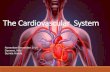Sumita handa_CardioVascular System