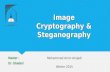 Image Cryptography and Steganography