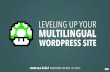 Leveling Up Your Multilingual WordPress site