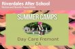 Summer camps 2016