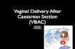 Vaginal Birth after C Section (VBAC)