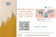 Middle East & Africa Big Data Market 2015-2020