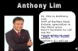 Anthony Lim portfolio