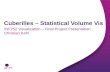 Cuberilles Statistical Volume Visualisation for Medical and Geological Data