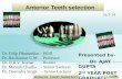 anterior teeth selection