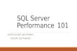 Александр Шелёмин «SQL Server Performance 101»
