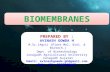 Biomembranes of cell
