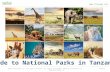 Guide to National Parks in Tanzania