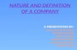nature and definition of a company