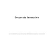 Corporate Innovation - Challenges of Lean Startup inside a Fortune 25