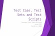 Test case, test sets and test scripts