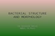 Bacterial structure and morphology by Dr. Shireen Rafiq (RMC)