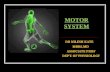 MOTOR SYSTEM MOTOR TRACTS