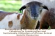 Strengthening the Capacity of African Countries to Conservation and Sustainable Utilisation of African Animal Genetic Resources
