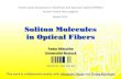 Soliton Molecules in Optical Fibers