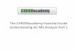The CHROMacademy Essential Guide Understanding GC-MS ...