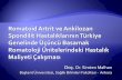 Romatoid artrit ve ankilozan spondilit hastalıklarının Türkiye ...