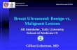 Breast Ultrasound: Benign vs. Malignant Lesions