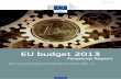 EU budget 2013. Financial Report