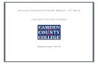 Annual Institutional Profile Report: FY 2013 Camden County ...