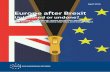 Europe After Brexit: Unleashed or Undone?