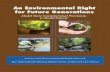 An Environmental Right for Future Generations