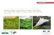 Liste des plantes vasculaires invasives en Pays de la Loire