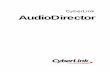 AudioDirector 기본 설정