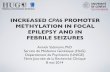 Increased CPA6 promoter methylation in focal epilepsy and in febrile seizures