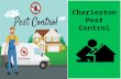 Charleston Pest Control & Termite Services