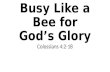 Busy like a bee for god’s glory
