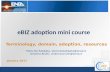 eBIZ courseware -Module  03 - Applicative domain (CW513-017)