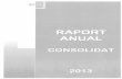 Raport anual consolidat 2013