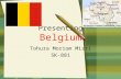 Belgium country profile