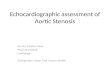 Echocardiographic assessment of aortic stenosis