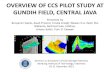 overview of ccs pilot study at gundih field, central java