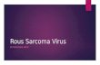 Rous Sarcoma Virus